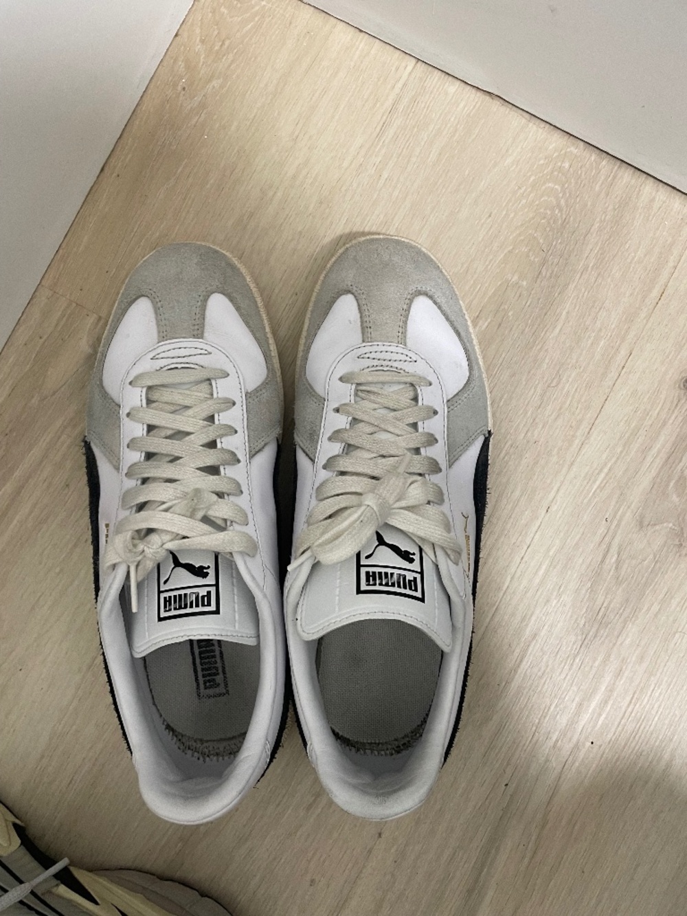 Puma